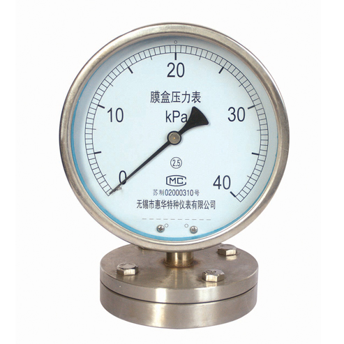 隔膜压力表 隔膜压力表