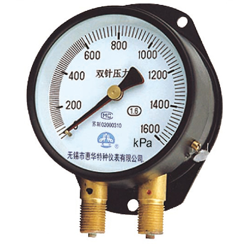 双针双管压力表 双针双管压力表